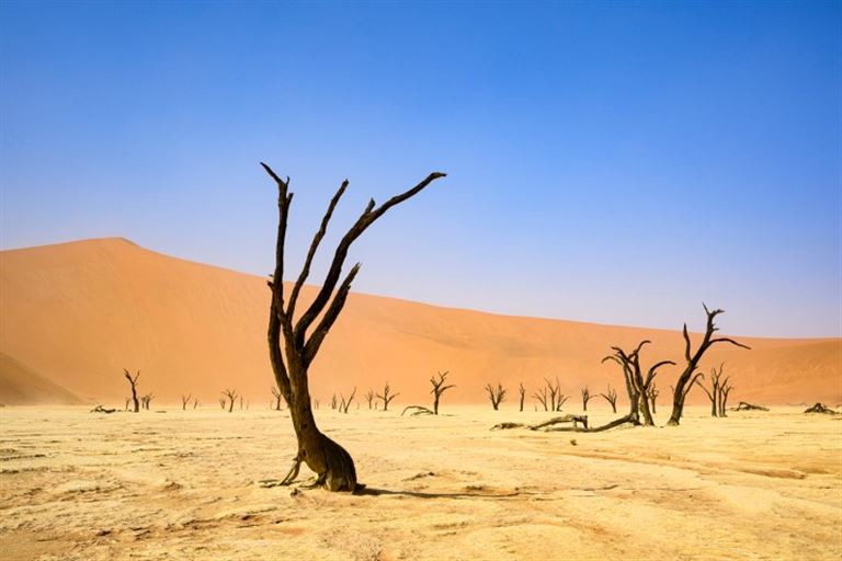 Vom Etosha-Nationalpark zum Fish-River-Canyon @Michael Kemter/istock